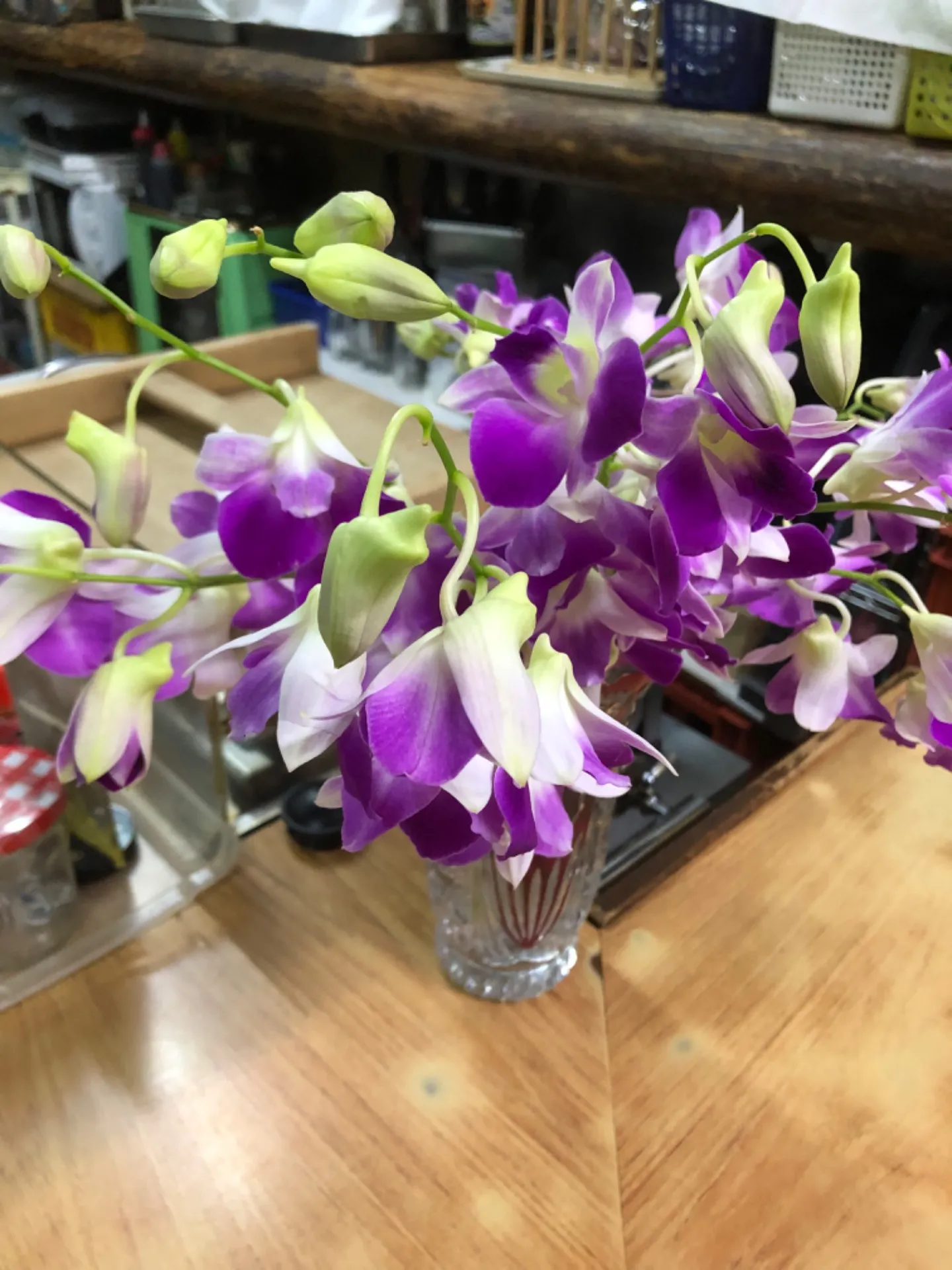 今年も早速。。。